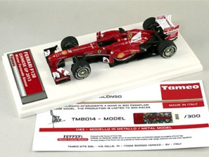 Tameo TMB 014 Ferrari F138 F.1 Winner GP China 2013